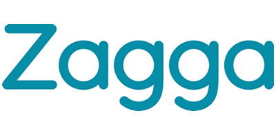 Non-Bank Partner